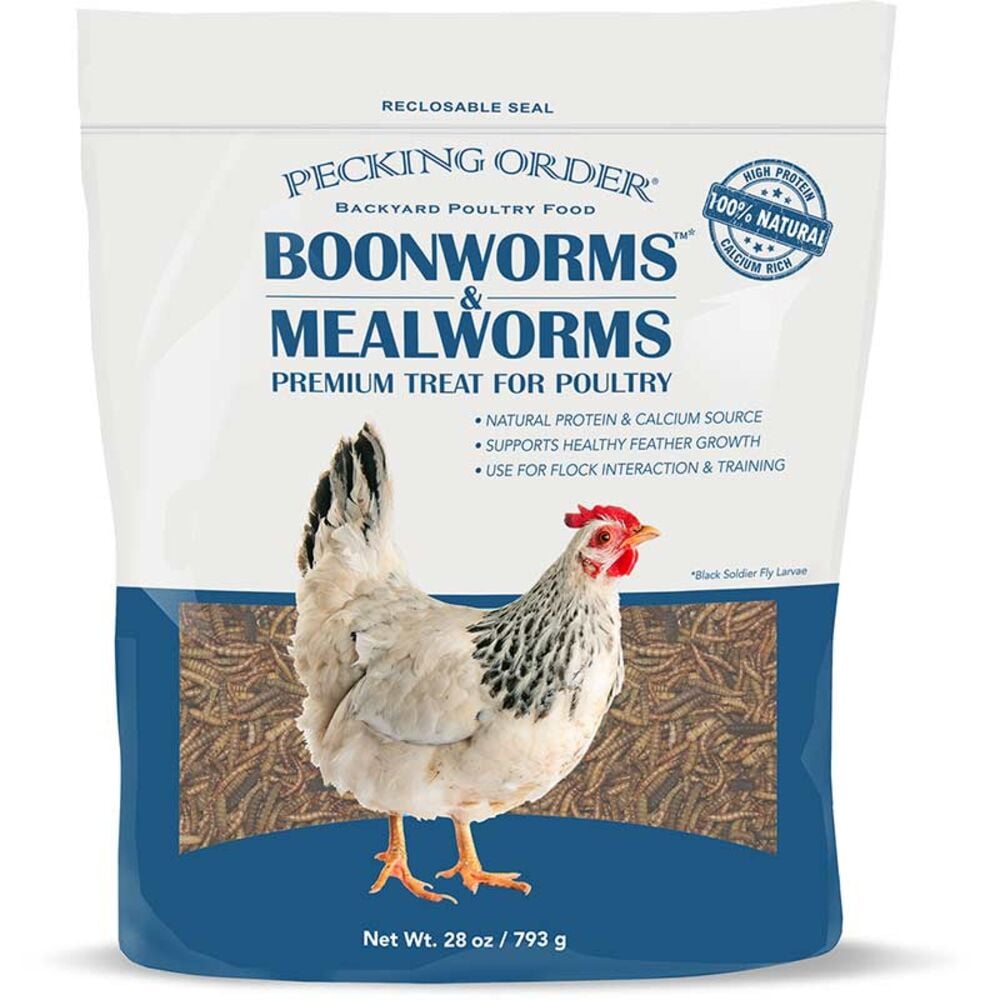 image of Poultry Treats- Boonworms and Mealworms, 28 oz