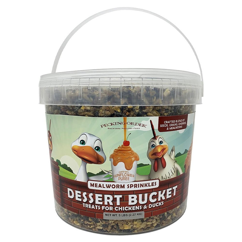 image of Poultry Treats- Dessert Bucket, Mealworm, 5 lb