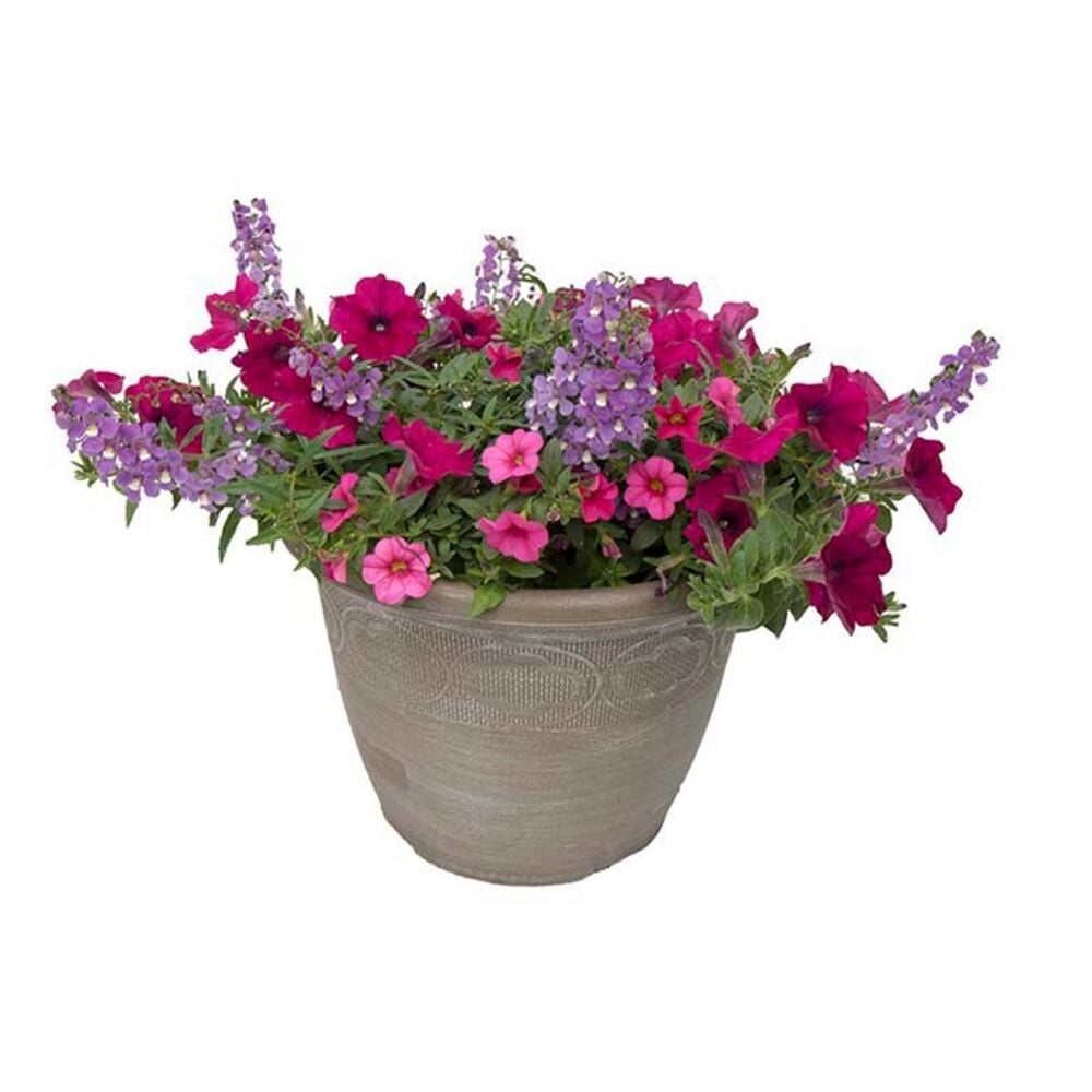 image of 12-inch Combo Patio Pot, May Vary