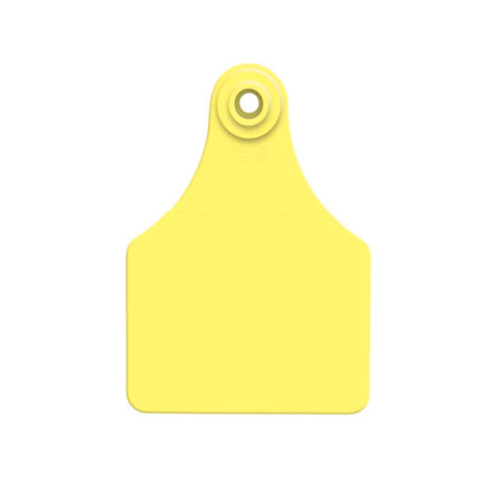 image of Blank Ear Tags- Large, Yellow 25ct