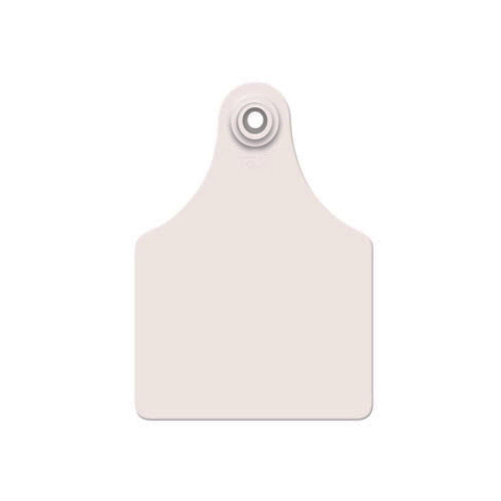 image of Blank Ear Tags- White, 25 ct