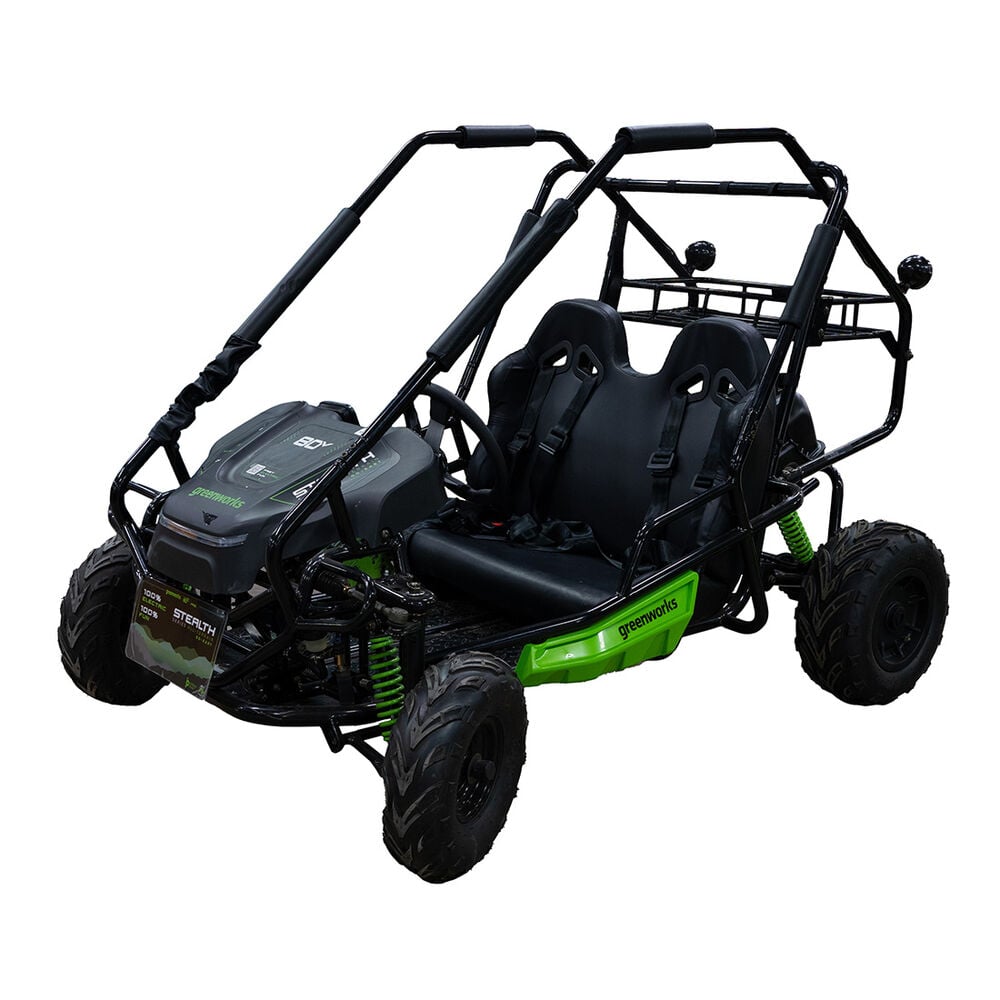 image of 80V 2 Seater Go Kart