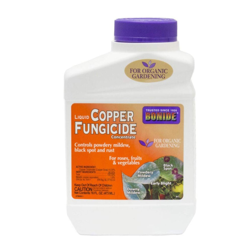 image of Bonide Copper Fungicide Concentrate, 1 PT