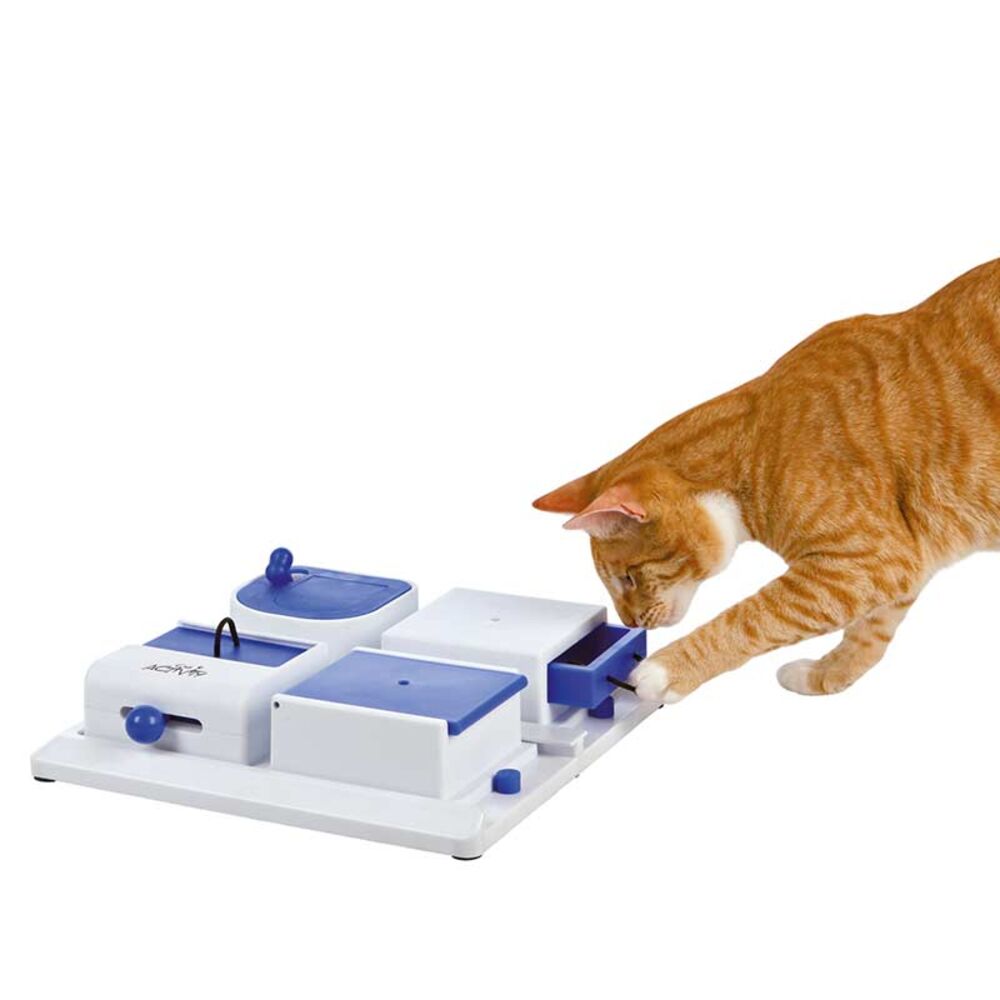 image of Poker Box Treat Dispensing Cat Strategy Game