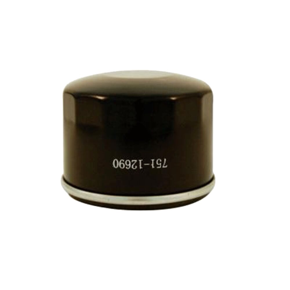 image of Oil Filter for Powermore 420cc Engine