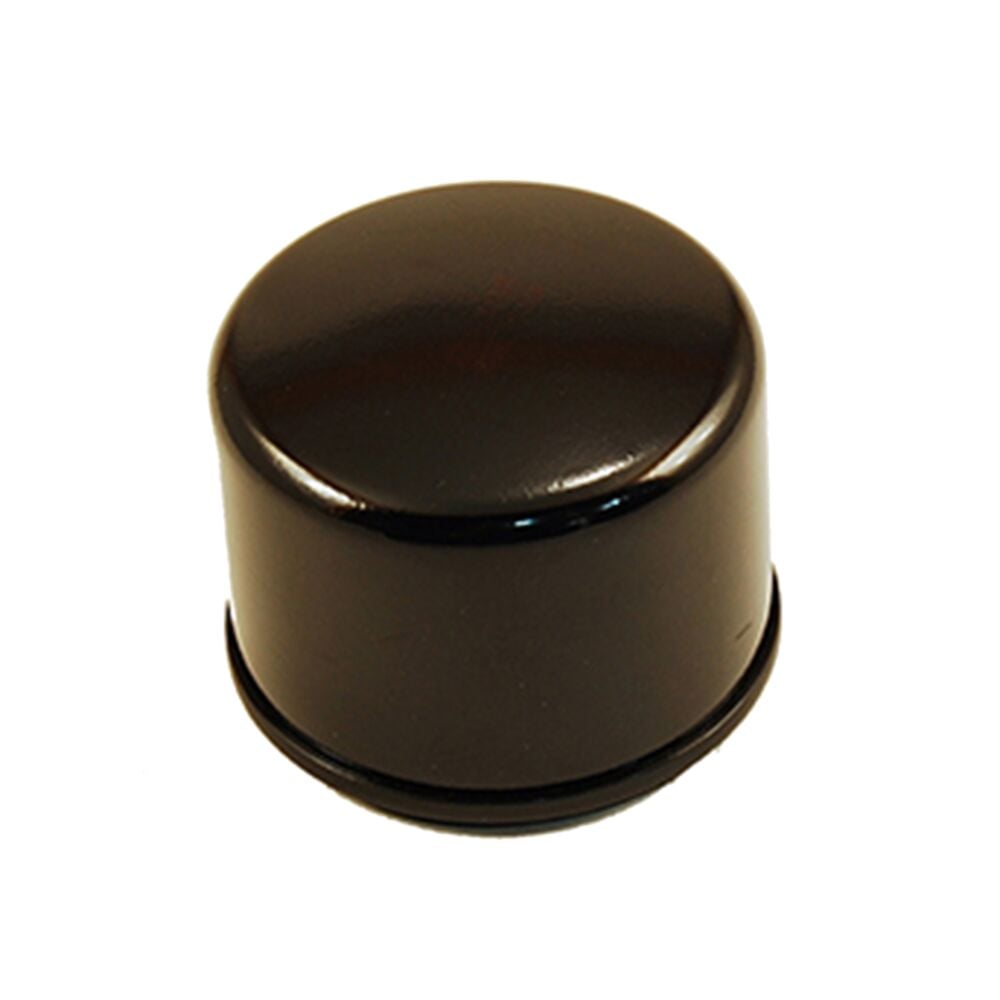 image of Oil Filter 492932