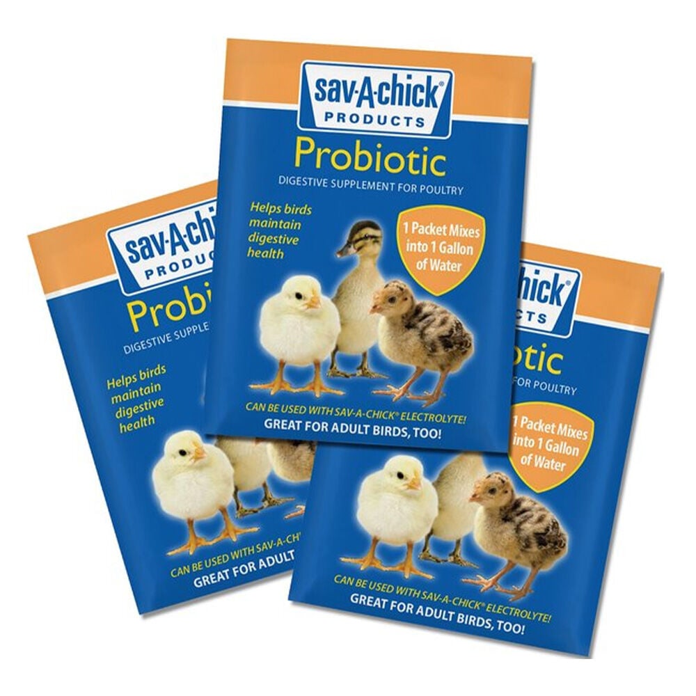 image of Poultry Supplement- Probiotics