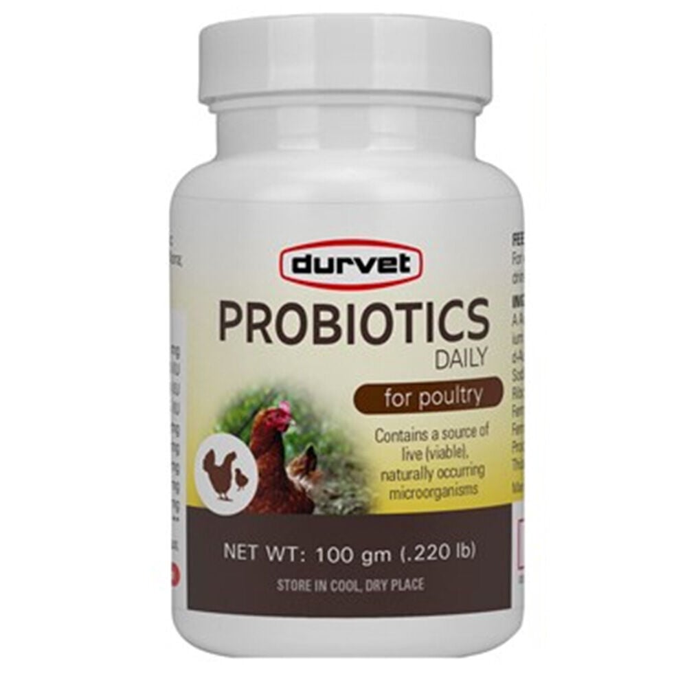 image of Poultry Supplement- Probiotics Daily