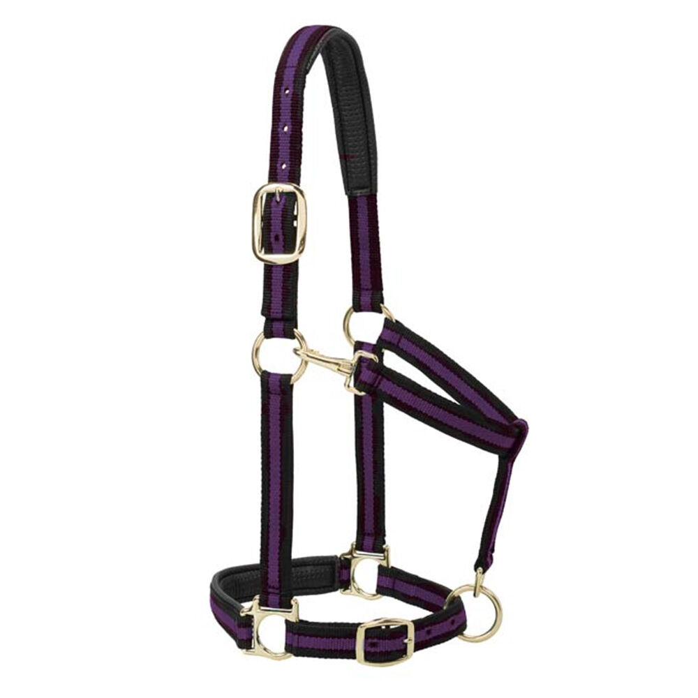 image of Adjustable Chin and Throat Snap Halter- Purple, Average Horse or Yearling Draft