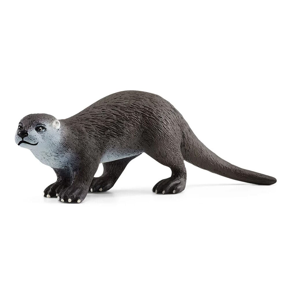 image of Otter