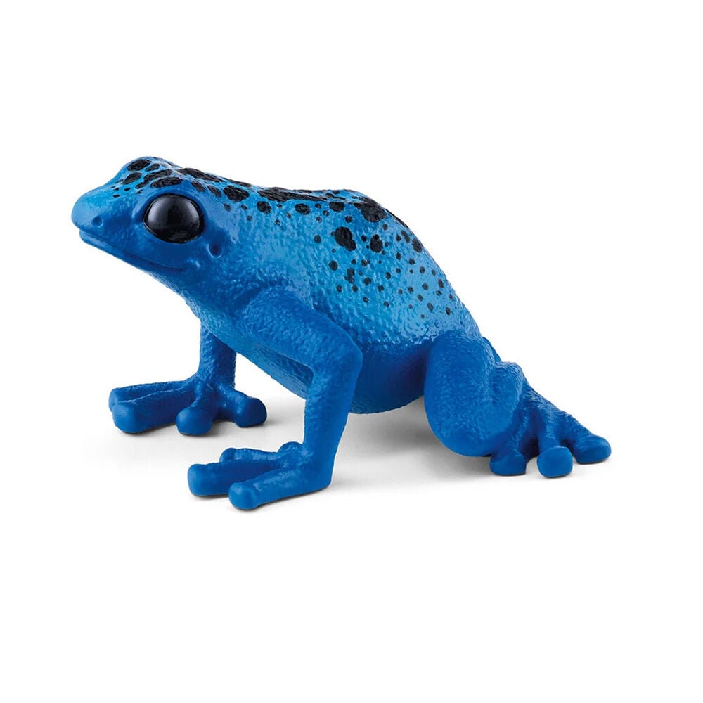 image of Blue Poison Dart Frog