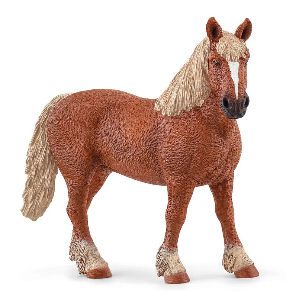 image of Belgian Draft Horse