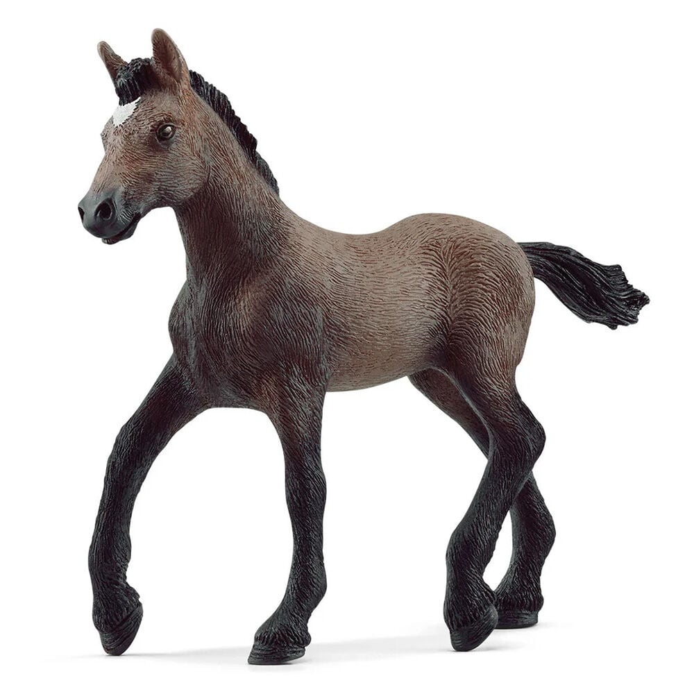 image of Peruvian Paso Foal