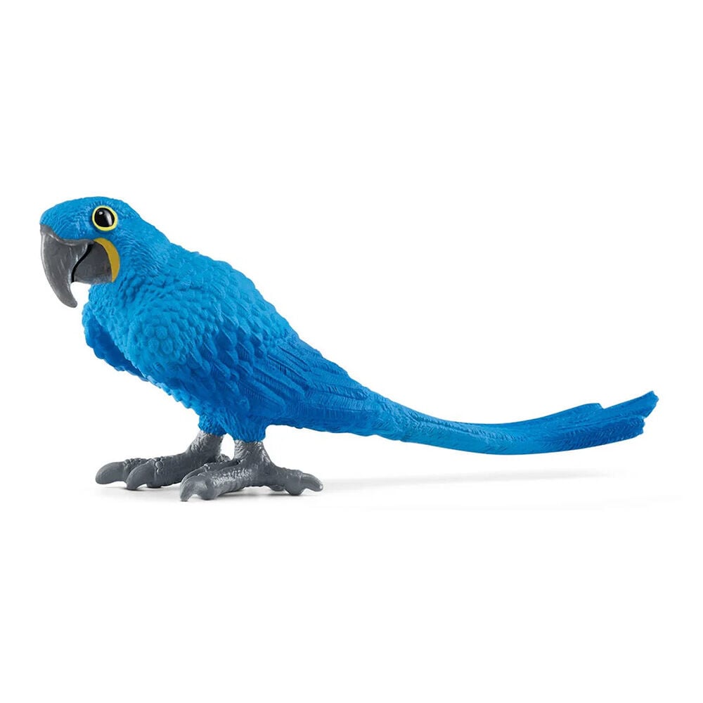 image of Hyacinth Macaw