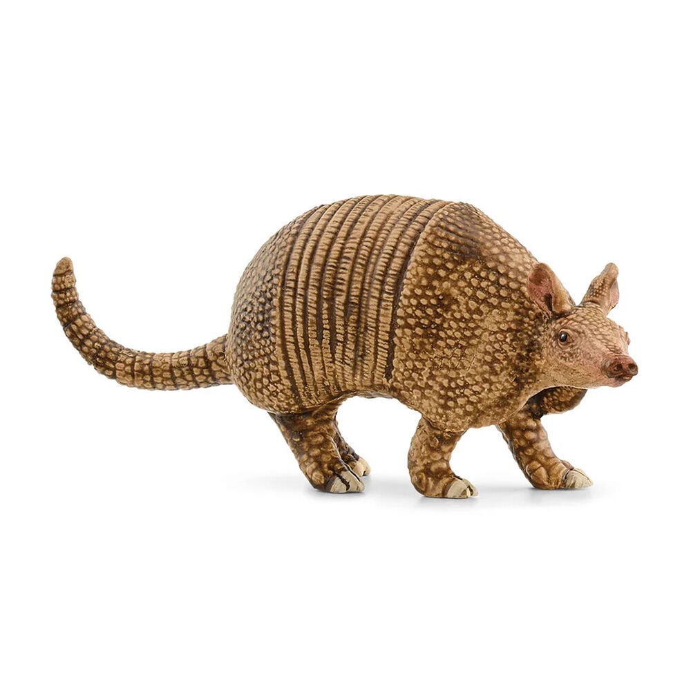 image of Armadillo