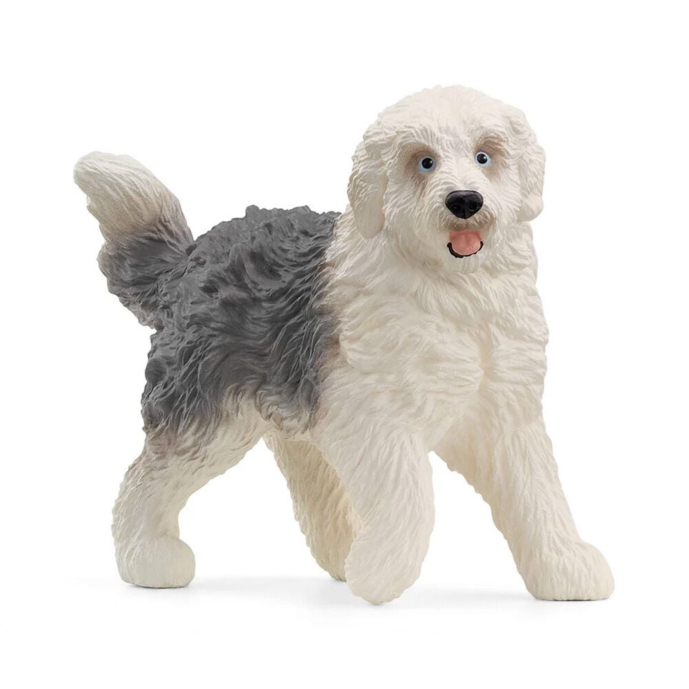 image of Old English Sheepdog