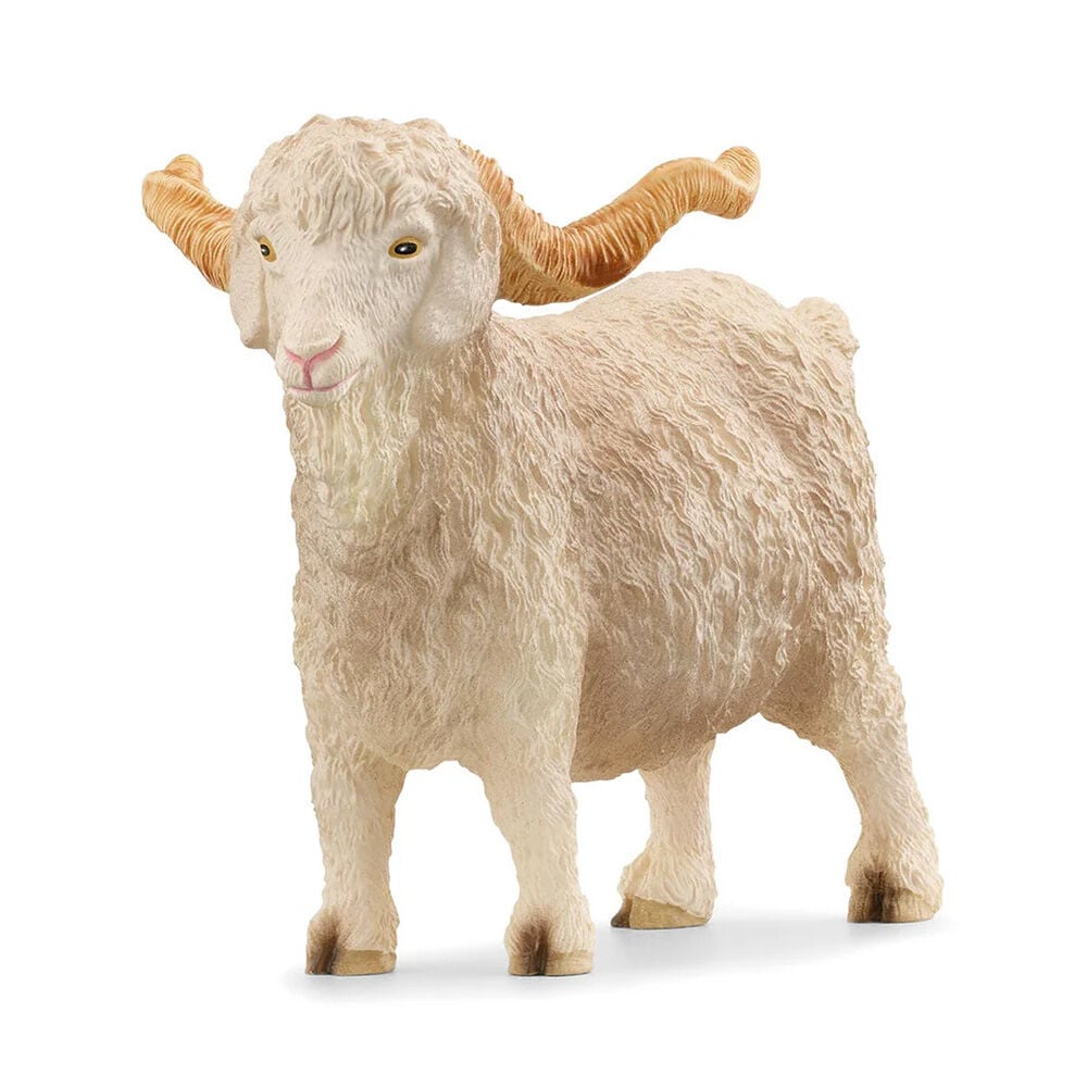 image of Angora Goat