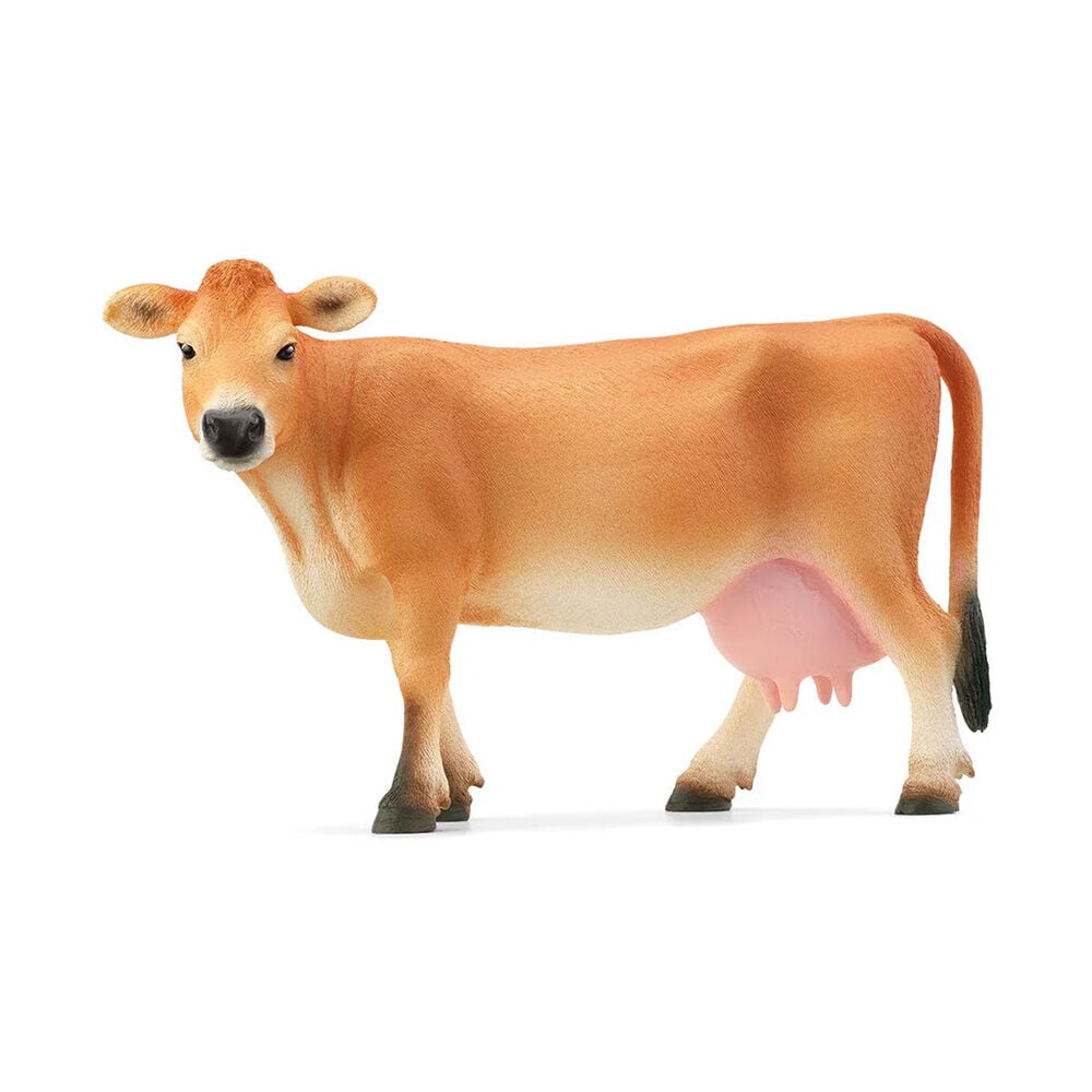 image of Jersey Cow