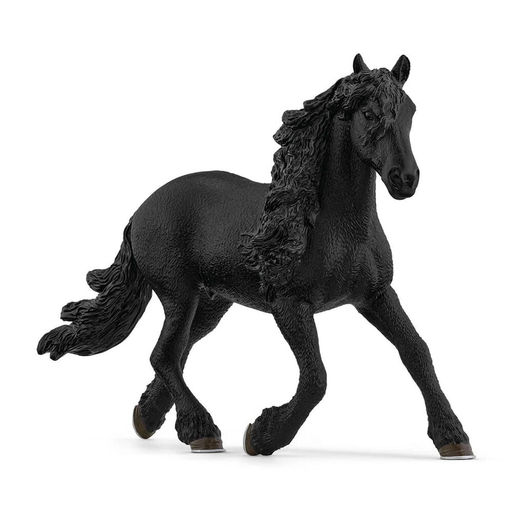 image of Friesian Stallion