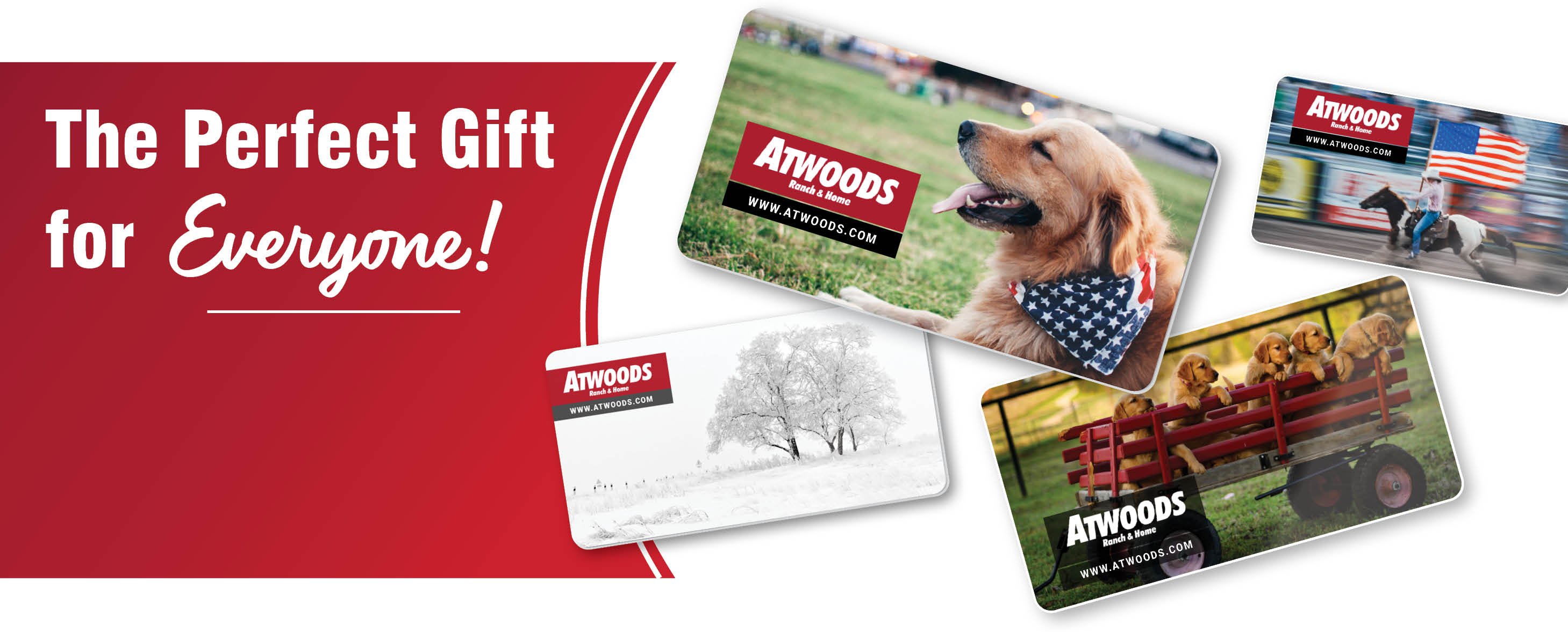 413f4fcd-deab-4f7d-bd58-6b059c2a64bdGift Card Banner Final.jpg