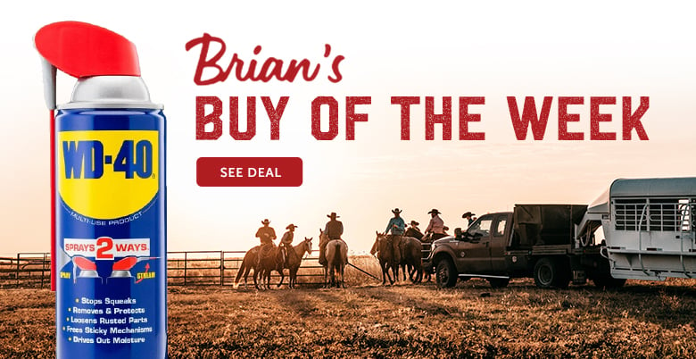 Brian's Buy of the Week - WD40